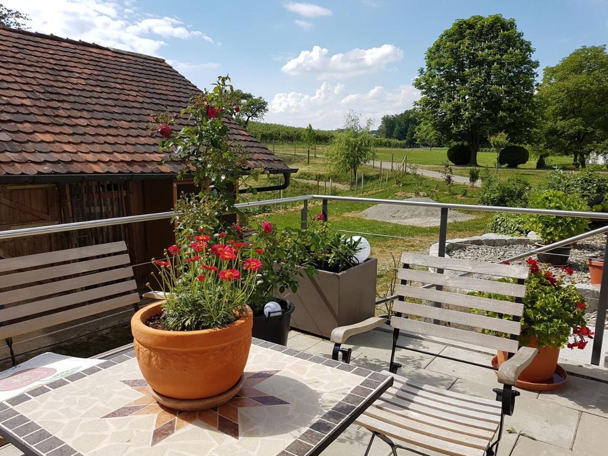 Landgut Apfelrose Hotel Friedrichshafen Exterior photo