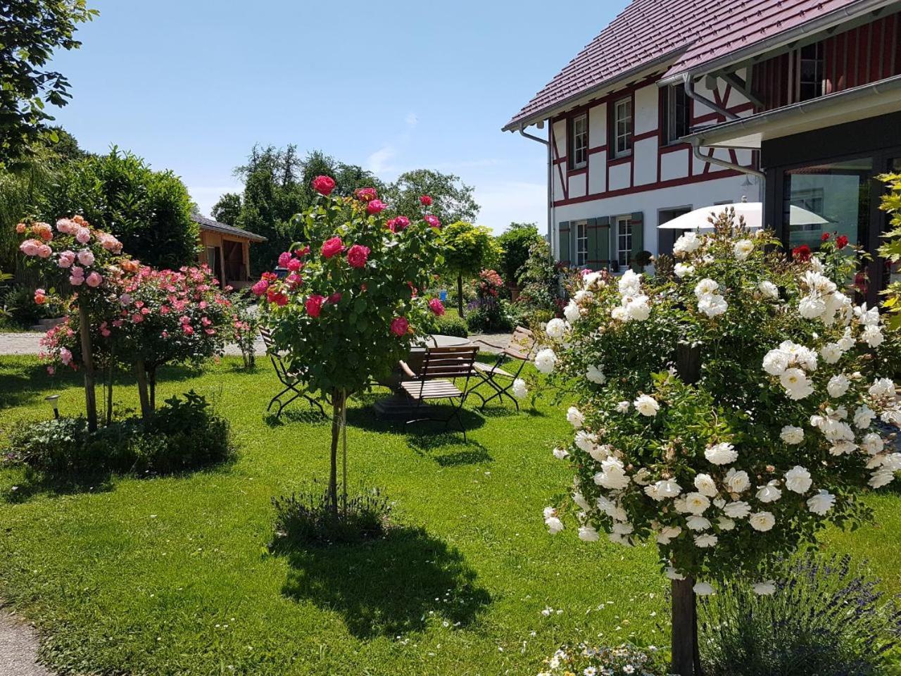 Landgut Apfelrose Hotel Friedrichshafen Exterior photo